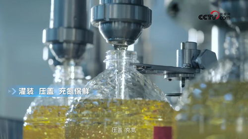 央视网走进多力安心工厂 探寻降低油烟技术专利与生物基材料研发的奥秘