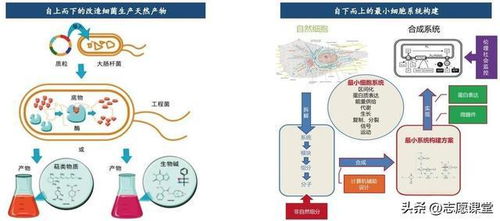 生物坑？转行跳槽别慌 这3高薪蓝海深度技术，国家队在投入巨资（有案例拆解+真实薪酬分化落差心得故事拆解即未来职业发展变现模型…