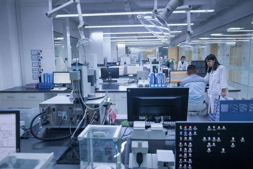 摄影师镜头下的dyetdz丨发展篇 生物基材料技术研发的光影记录与未来蓝图