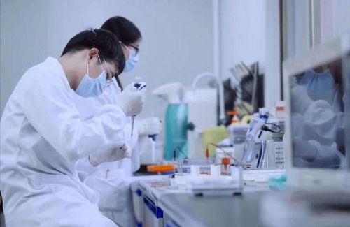 从土壤到实验室 中国引领化学合成粮食量产新纪元