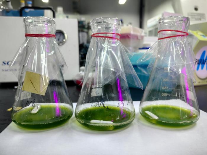 绍兴上虞 科技创新驱动，秸秆变身高价值新材料，谱写绿色经济新篇章